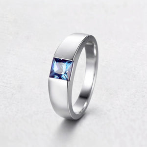 The Chameleon Prism | Princess Cut Alexandrite Men's Band