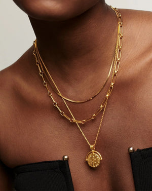 18K Gold Vermeil Aegis Chain Necklace