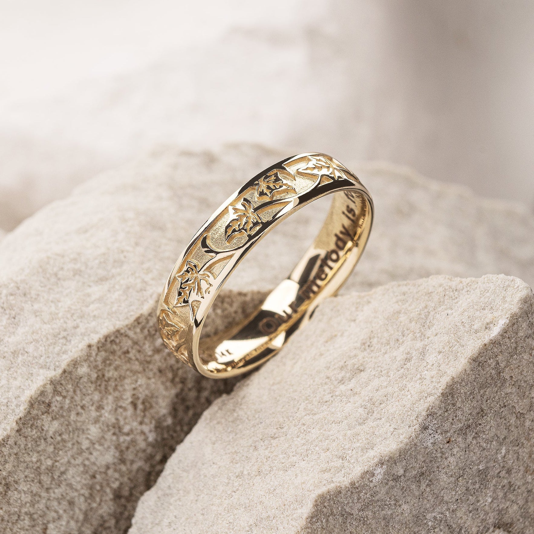 The Entwined Ivy: Everlasting Fidelity Band