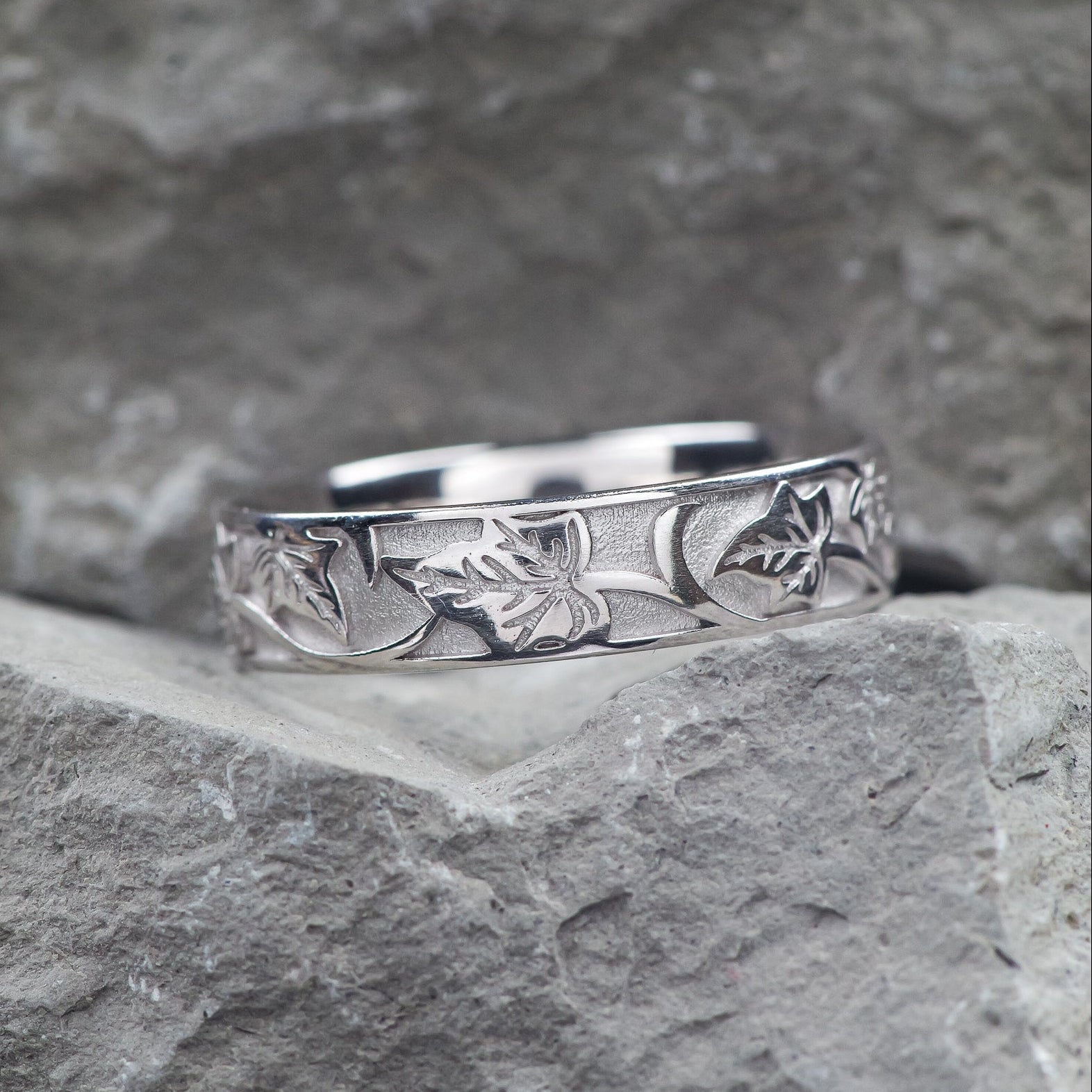 The Entwined Ivy: Everlasting Fidelity Band