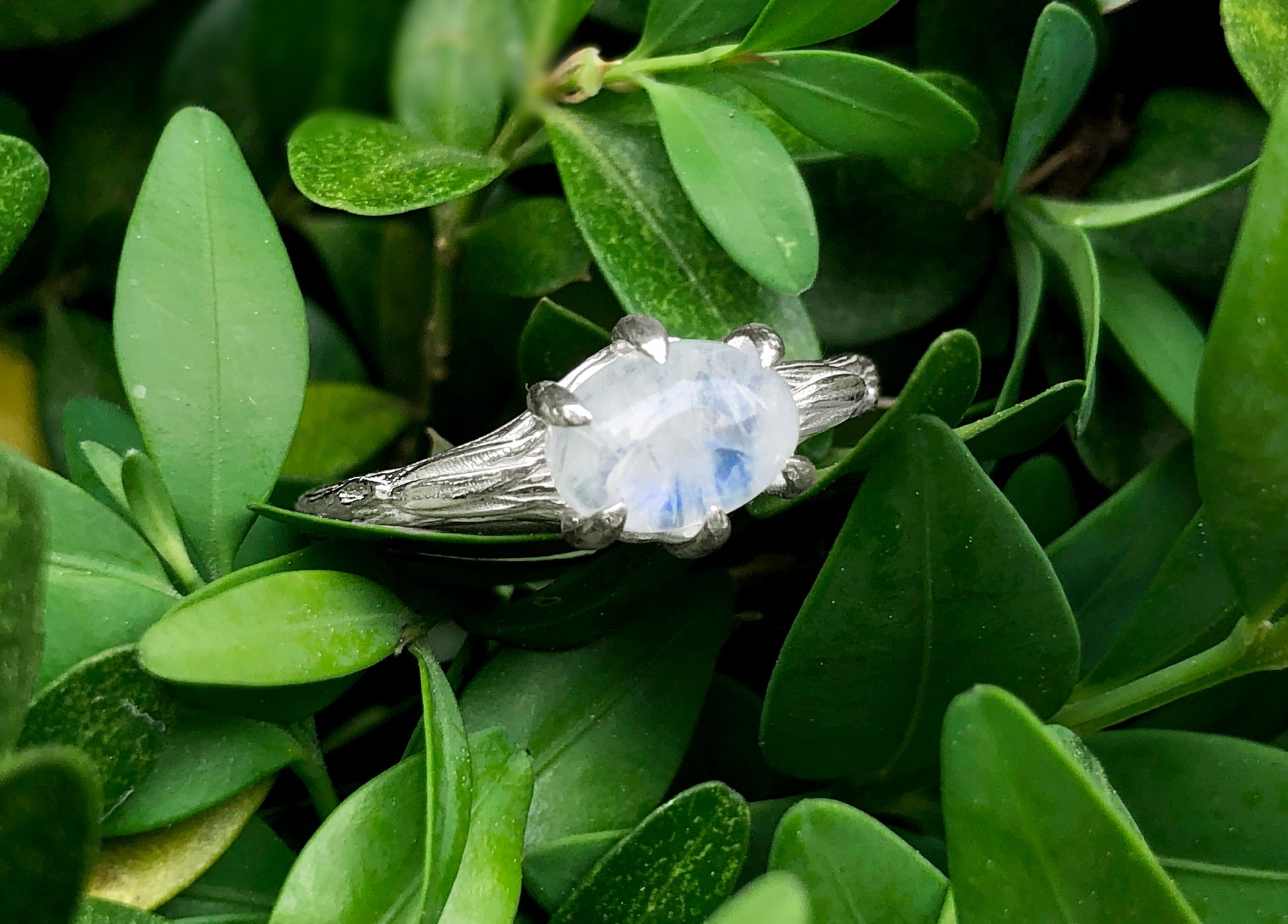 Angel's Wing, Raw Moonstone Solitary Engagement Ring