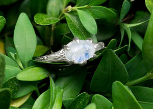 Angel's Wing, Raw Moonstone Solitary Engagement Ring